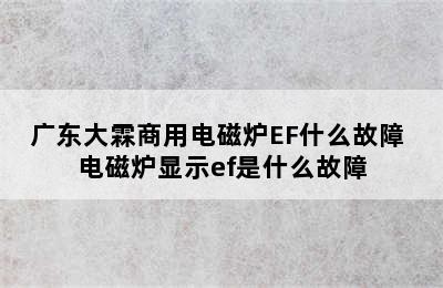 广东大霖商用电磁炉EF什么故障 电磁炉显示ef是什么故障